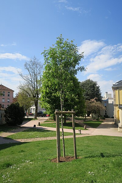 File:Remiremont - parc Monseigneur-Rodhain - 2022-05-03 - 02.jpg