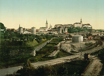 Tallinna vaade 19. sajandi lõpukümnendil