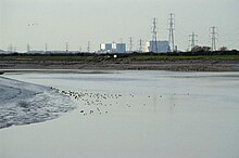 Rivière coulant dans un virage avec une rive boueuse sur la gauche.  Au-delà de la rivière se trouvent des bâtiments en blocs de béton blancs et plusieurs pylônes électriques.