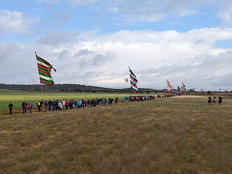 File:Romería Virgen de Castrotierra 2022 06.jpg