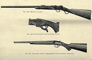 The rook rifle, originally called the rook and rabbit rifle, is an obsolete English single-shot small calibre rifle intended for shooting small game, particularly rook shooting.
