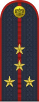 Rusland-Politie-OF-2-2013.svg