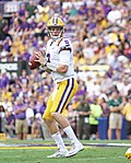 Thumbnail for LSU Tigers football statistical leaders