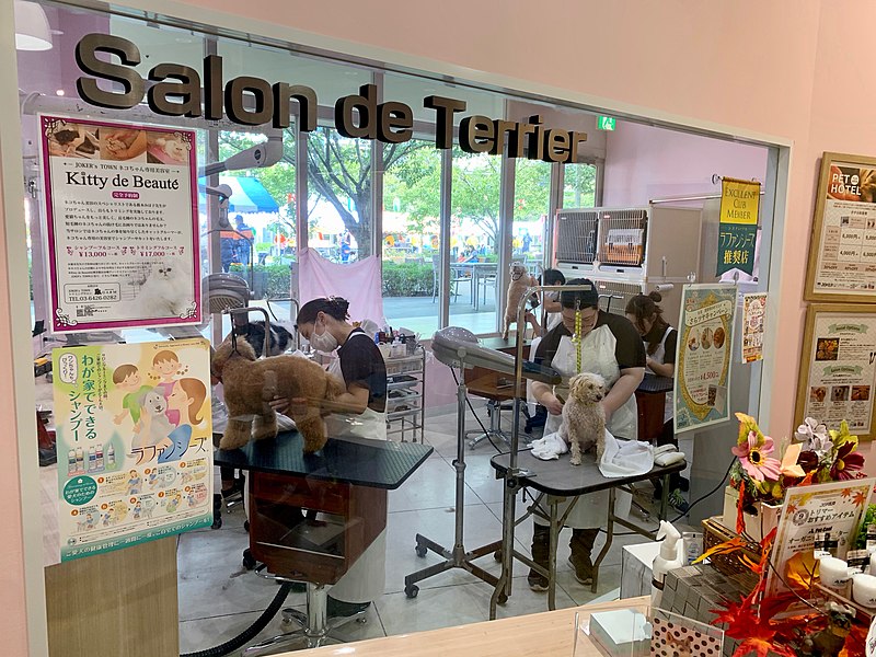 File:Salon (48858401143).jpg