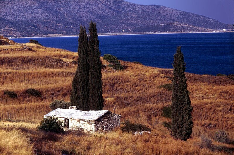 File:Samos-102-Haus-Pinien-trockenes Gras-Meer-1987-gje.jpg