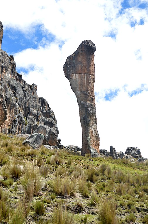 Santuario Nacional de Huayllay 08 - Cerro de Pasco - Perú.jpg