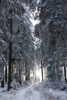 Winter in the Sauerland near Meschede