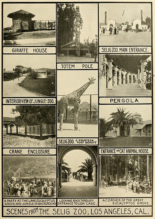 "Scenes from the Selig Zoo," July 1915