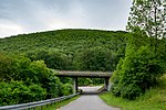 Hohlestein (Teutoburger Wald)