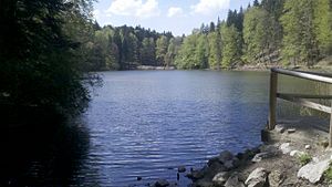 Castle pond (Lenggries) .jpg