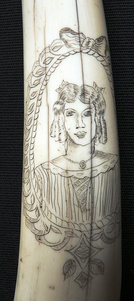 File:Scrimshaw Walrus Tusks Closeup2.jpg