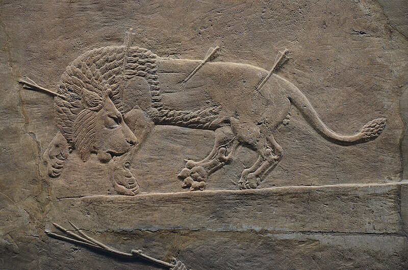 File:Sculpted reliefs depicting Ashurbanipal, the last great Assyrian king, hunting lions, gypsum hall relief from the North Palace of Nineveh (Irak), c. 645-635 BC, British Museum (16101120334).jpg