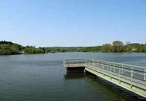 Seeweiher Mengerskirchen.jpg