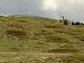 Seiser Alm, Fillnkreutz (2130m) - panoramio.jpg