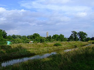 <span class="mw-page-title-main">Ślęza</span> River in Poland