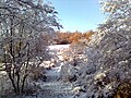 Slivnica at winter