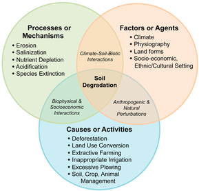 Soil degradation attributing factors, causes, and effects Soil degradation venn diagram.png