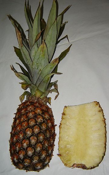 File:Split ananas.jpg