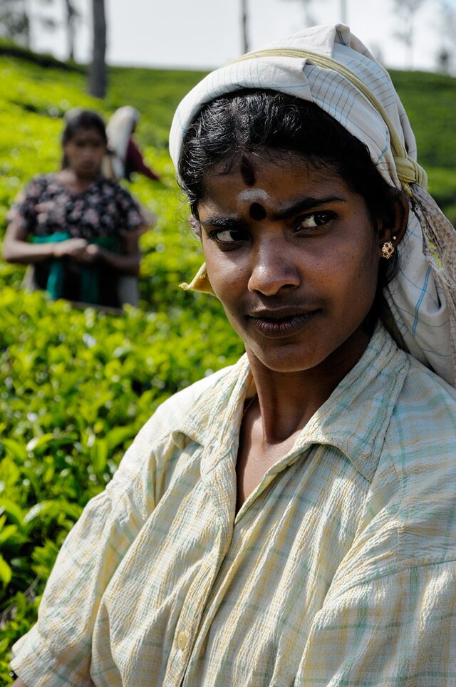 Indian Tamils of Sri Lanka photo pic