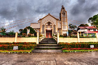 <span class="mw-page-title-main">Pintuyan</span> Municipality in Southern Leyte, Philippines