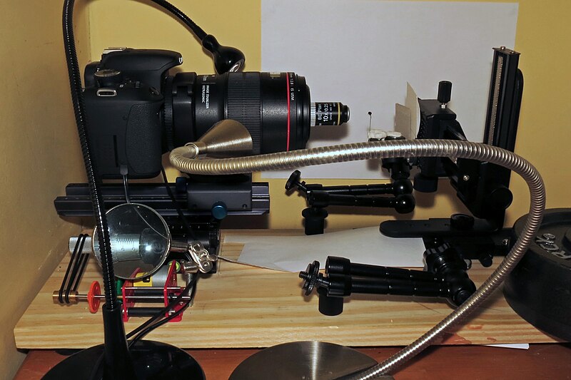 File:Stacking Rig for Macro photography of insects.jpg