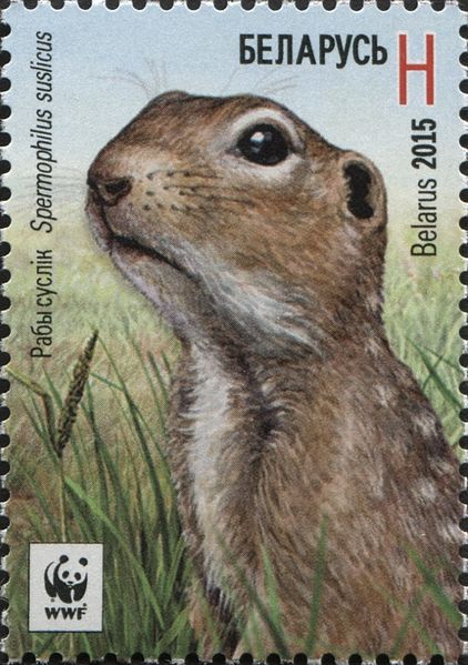 File:Stamps of Belarus, 2015-33.jpg