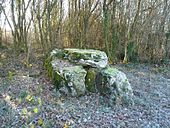 Bois des Chailles'in Dolmenleri