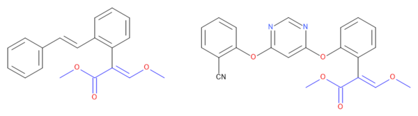 The stilbene was the first synthetic analogue to show activity and led to azoxystrobin Stilbene leads to azoxystrobin.png