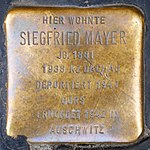 Stumbling block for Siegfried Mayer (Rathausgasse 6)