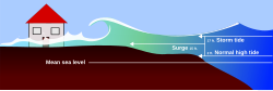 Storm Surge: Offshore rise of water associated with a low pressure weather system