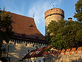 Kotnov Castle, Tábor, South Bohemian Region, Czech Republic