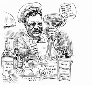 Political positions of Theodore Roosevelt Views and policies of the 26th US President