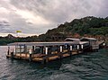 Taronga Zoo ferry wharf
