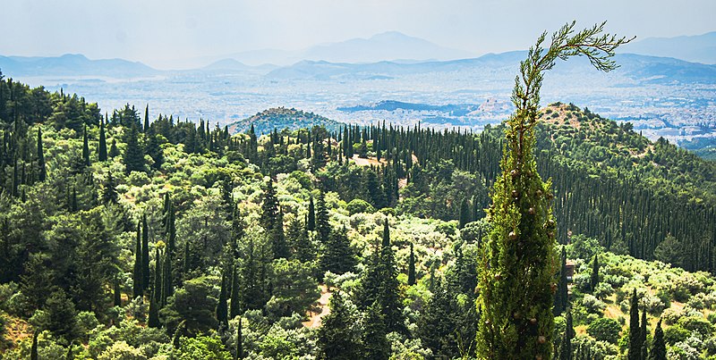 File:The Aesthetic forest of Hymettus.jpg