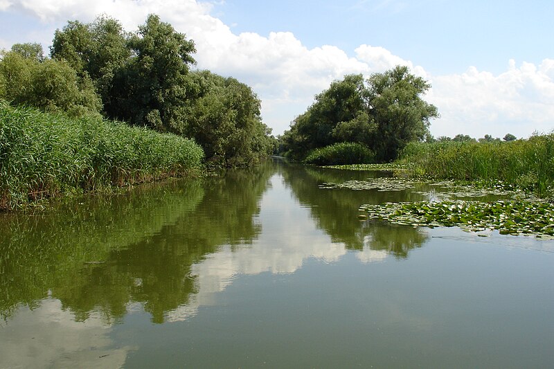 File:The Danube Delta 1.JPG