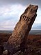 Der Greenwood Stone, Midgley Moor - geograph.org.uk - 16670.jpg