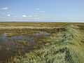 The banks of the lagoon - geograph.org.uk - 1454556.jpg