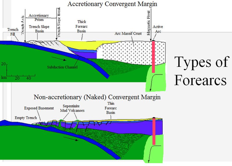 File:Types of Forearcs.jpg