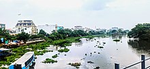 Sông Vàm Thuật và Miếu Nổi nhìn từ cầu An Phú Đông