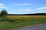 Brown Township, Delaware County, Ohio