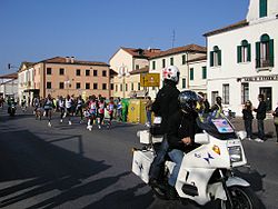 Venice Marathon.jpg