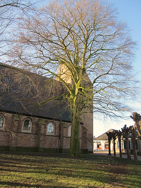 File:Verscholen kerk (30659457723).jpg