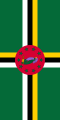 Svislé zavěšení dominické vlajky