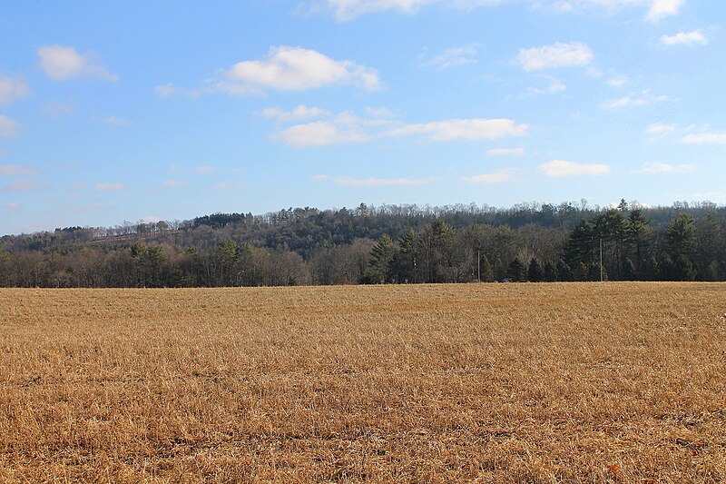 File:View of New Columbus, Pennsylvania from Fishing Creek Township 2.JPG