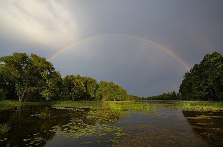 Väimela Alajärv