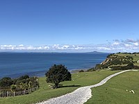 Walking trails at Shakespear Regional Park.jpg