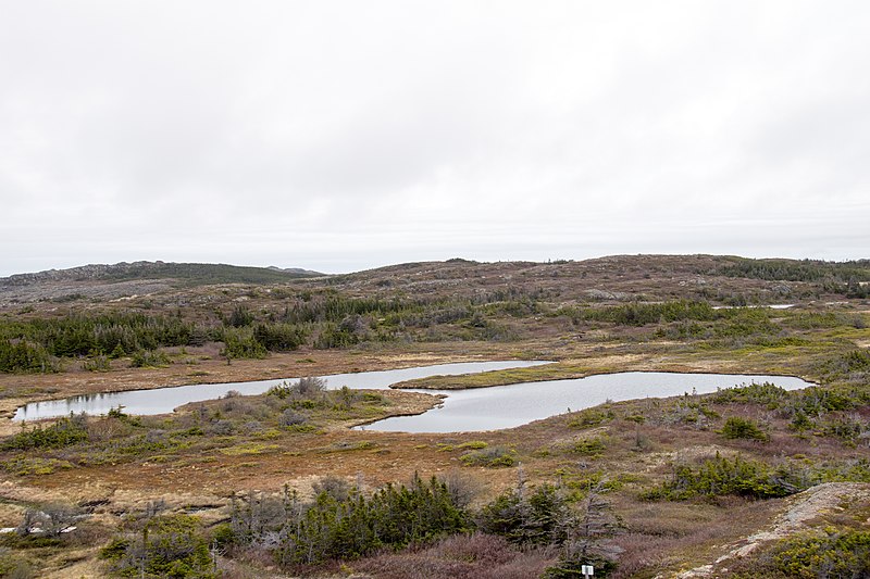 File:Waterman's Brook Trail (30067150785).jpg