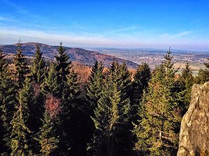 View from Lausche to Weberberg, Warnsdorf in the background on the right