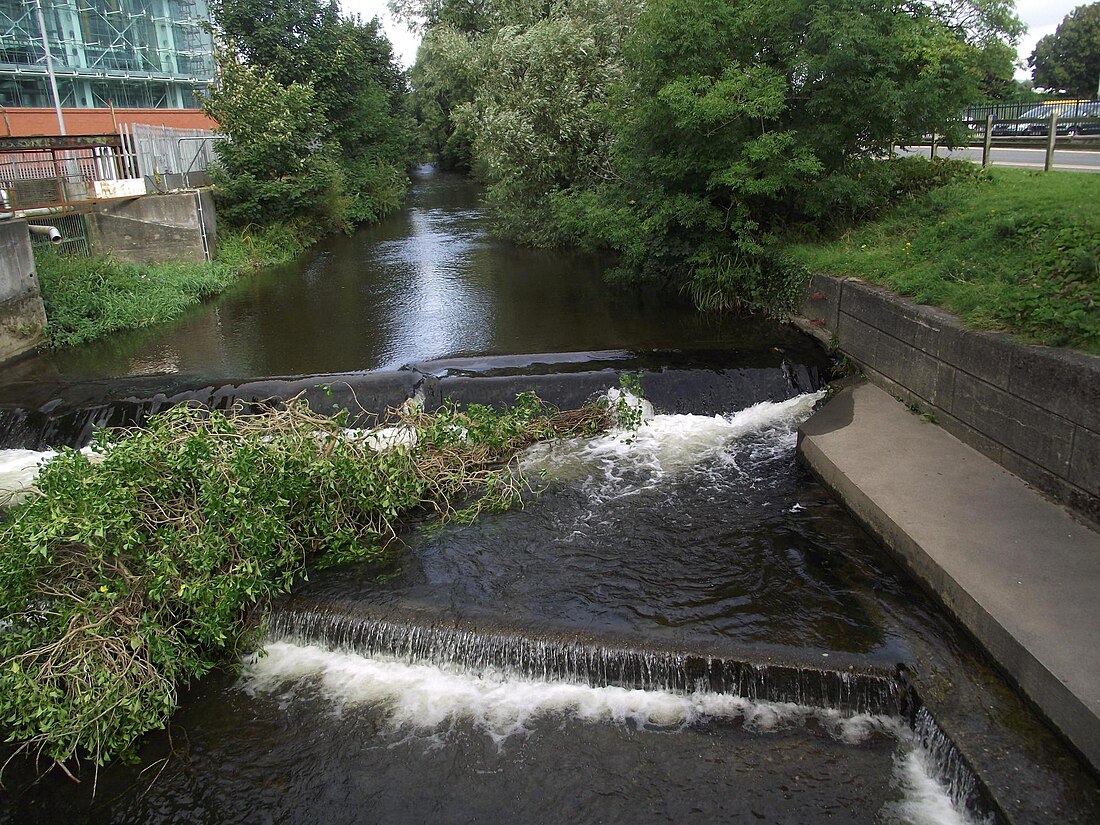 River Douglas (Isle of Man)