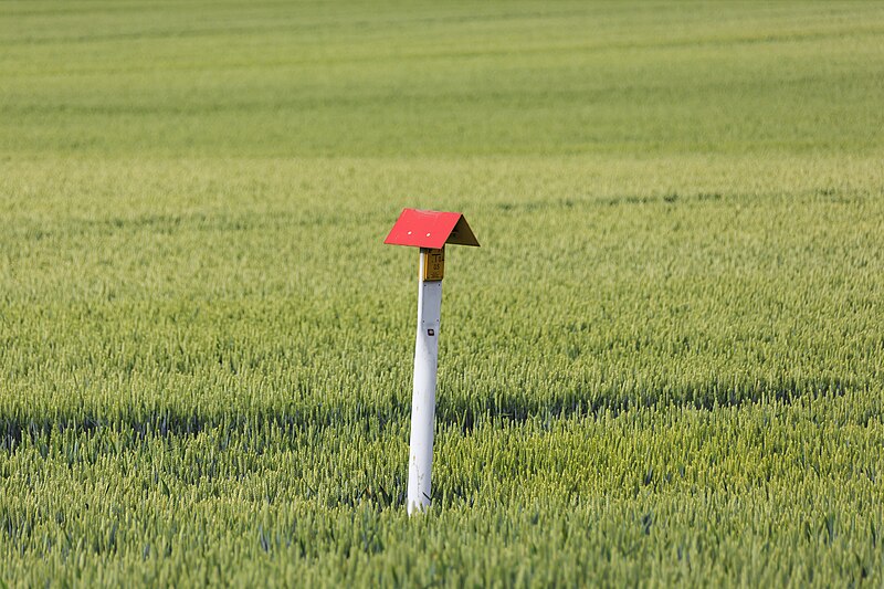 File:Wesseling Germany LyondellBasell-Knapsack-Pipeline-01a.jpg